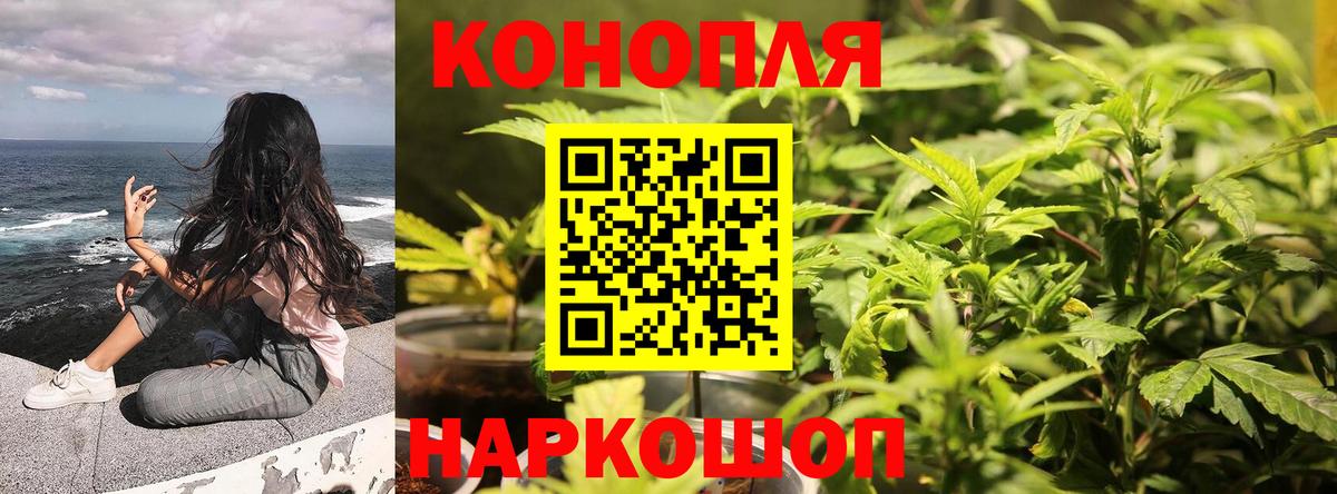Конопля SATIVA & INDICA  Бошки марихуана семена  Сургут  Вход с VPN  Шишки марихуана гибрид 